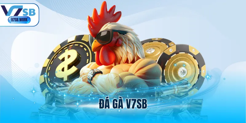 Đá Gà V7SB - Tận Hưởng Các Cuộc So Tài Đầy Mãn Nhãn